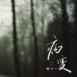 Album BINGBIAN病变 from 姚六一