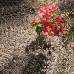 ดาวน์โหลดและฟังเพลง 103 StaleToast พร้อมเนื้อเพลงจาก No SWEat