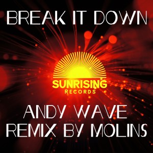 收听Andy Wave的Break it Down (Molins Remix)歌词歌曲