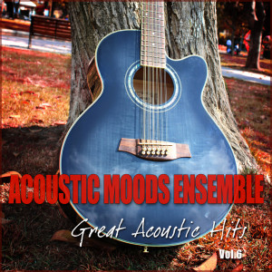 收听Acoustic Moods Ensemble的I Cant Help Falling In Love歌词歌曲