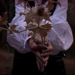 Listen to No, No, No! No Reason… song with lyrics from CHARNEL