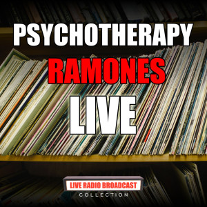 ดาวน์โหลดและฟังเพลง Sheena Is A Punkrocker (Live) พร้อมเนื้อเพลงจาก Ramones