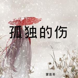 收聽雨霖楓的孤獨的傷歌詞歌曲