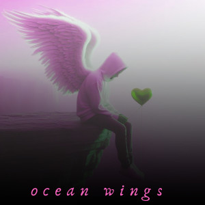 อัลบัม Ocean Wings ศิลปิน The Elovaters