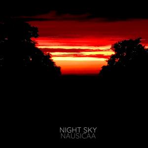 Album Night Sky from Nausicaa