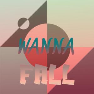 Various的专辑Wanna Fall