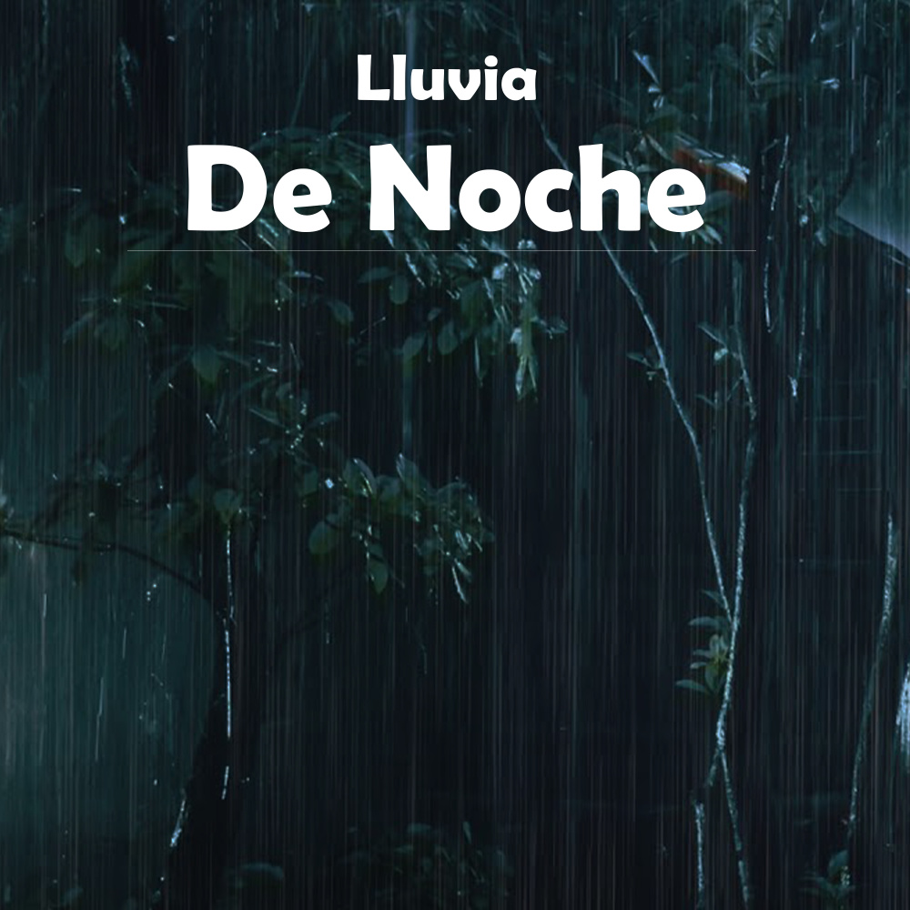 Lluvia De Noche