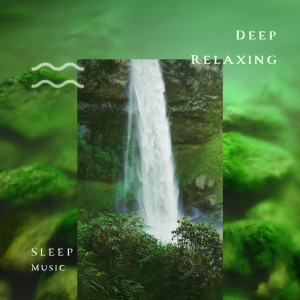 อัลบัม 睡眠古典舒心大提琴 钢琴白噪音民谣之声 ศิลปิน 古典 舒心贵族音乐