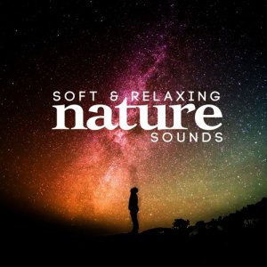 อัลบัม Soft & Relaxing Nature Sounds ศิลปิน Pure Relaxation
