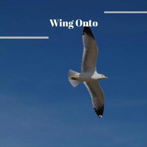 收听Rodry Ardi的Ought Everything歌词歌曲