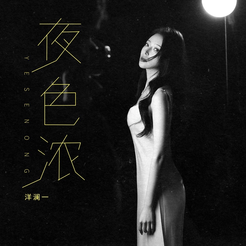 夜色浓 (DJ九零版伴奏)