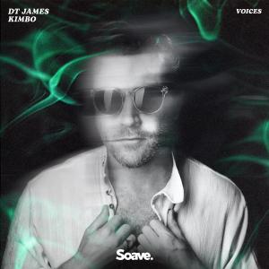 收听DT James的Voices歌词歌曲