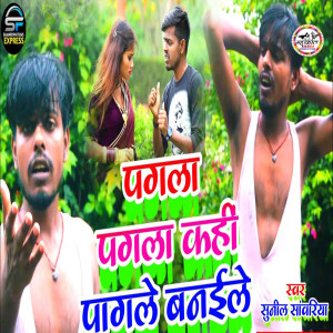 Album Pagla Pagla Kahi Pagle Banaile from Sunil Sawariya