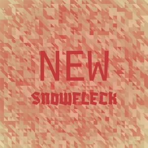 Various Artists的專輯New Snowfleck