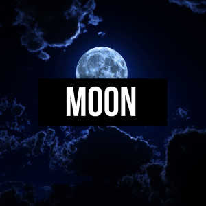Album Moon oleh DeLarge