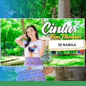 收聽Dj Nabila的Cinta Tega Mendua歌詞歌曲