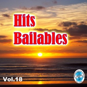 Listen to Al Amanecer song with lyrics from Dario Gil