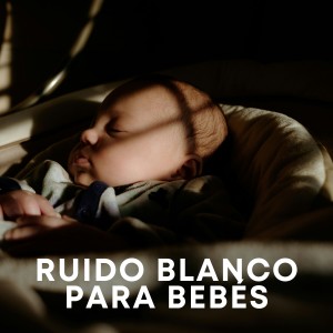 ดาวน์โหลดและฟังเพลง Bebés Dormir Sonido พร้อมเนื้อเพลงจาก Sonidos de la Naturaleza Ruido Blanco Para Bebes