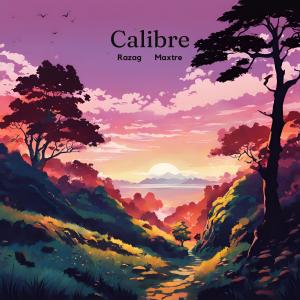 ดาวน์โหลดและฟังเพลง Calibre (feat. Maxtre) พร้อมเนื้อเพลงจาก Razag