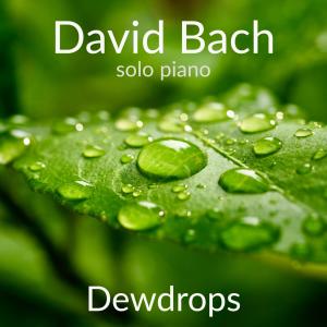 ดาวน์โหลดและฟังเพลง Dewdrops พร้อมเนื้อเพลงจาก david bach