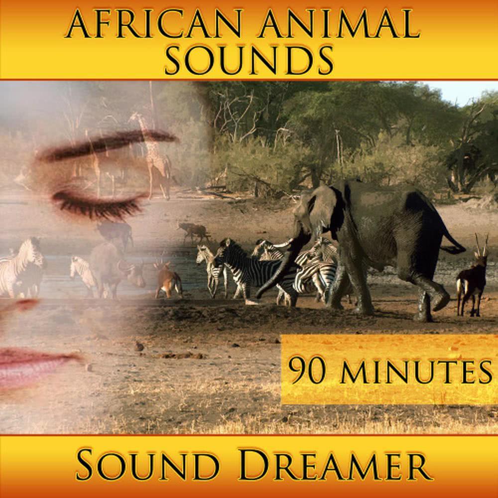 African Animal Sounds - 90 Minutes