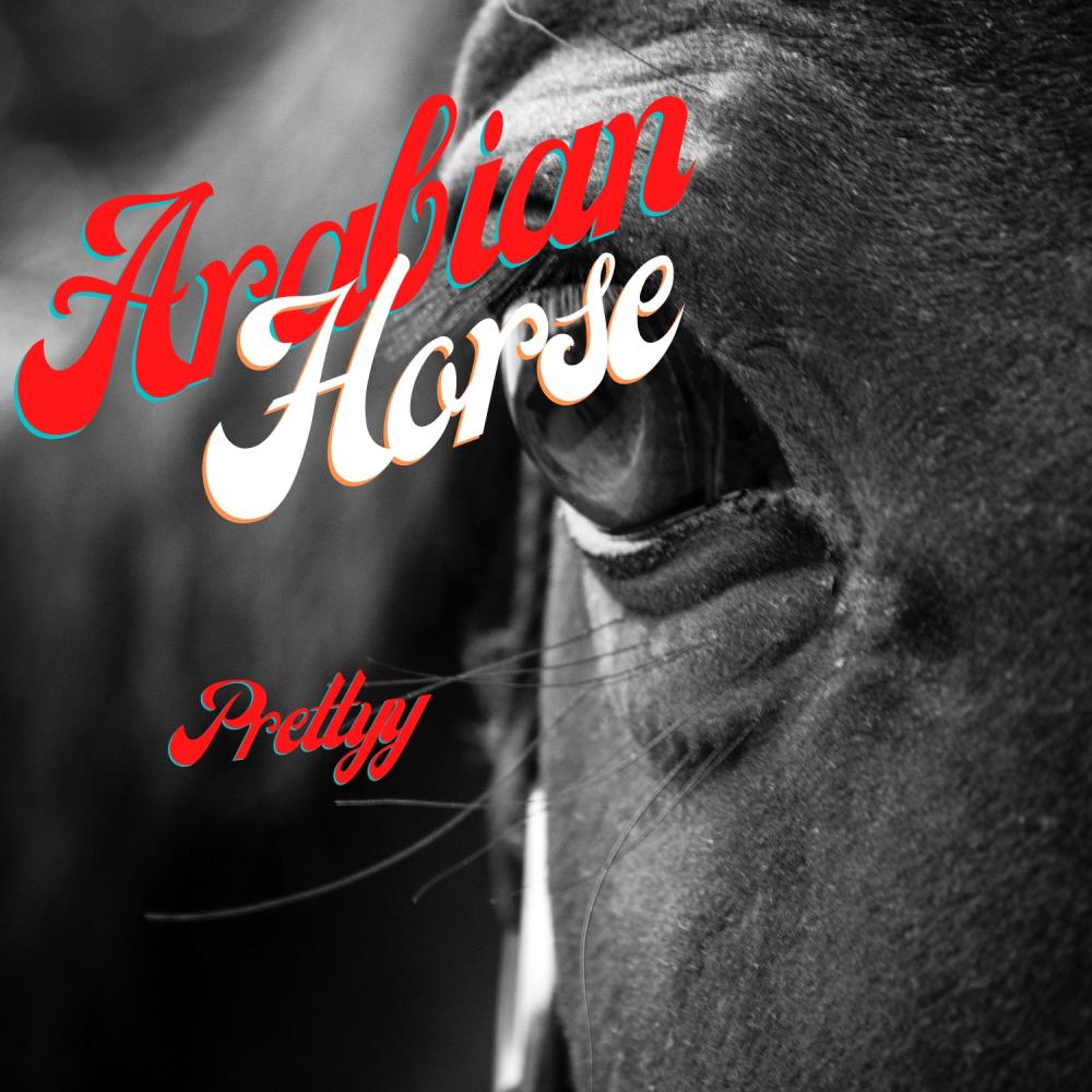 Arabian Horse