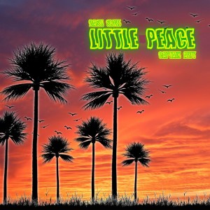 Listen to Little Peace song with lyrics from Dasli Slow