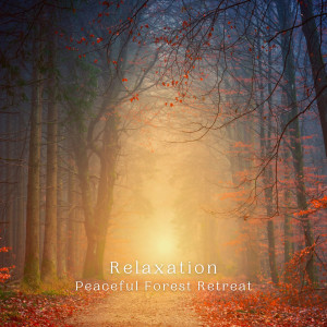 Relaxation: Peaceful Forest Retreat