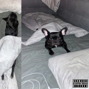 Listen to 44 (Explicit) song with lyrics from akamaru
