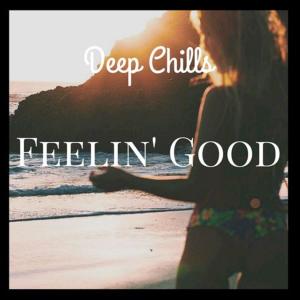 Album Feelin Good oleh Deep Chills