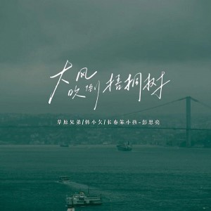Album 大风吹倒梧桐树（生活励志版） oleh 草原兄弟
