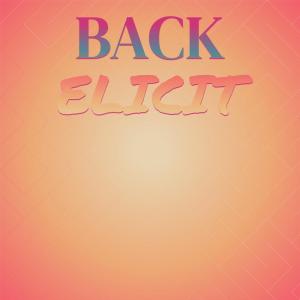Album Back Elicit from Various Artists