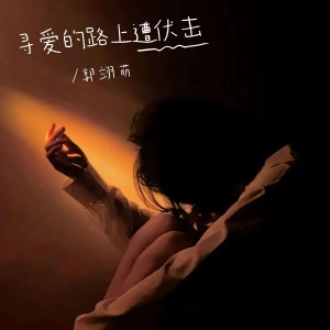 Listen to 寻爱的路上遭伏击 (完整版) song with lyrics from 郭翊萌