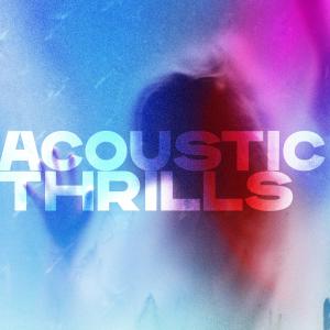 Silversun Pickups的專輯Acoustic Thrills