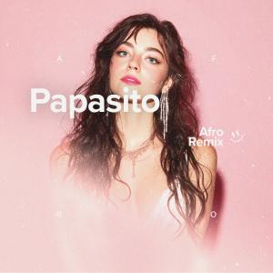Album Papasito (Afro House) from AFRO