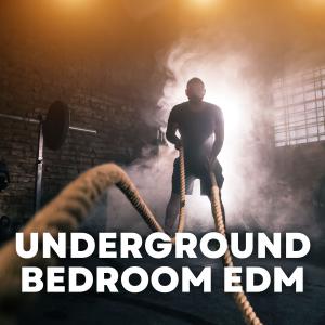 Various Artists的专辑Underground Bedroom EDM