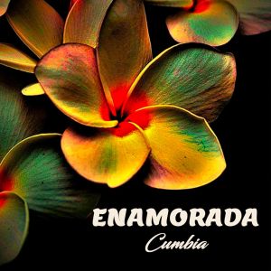 Listen to Enamorada (Cumbia) song with lyrics from Manuel Burroni