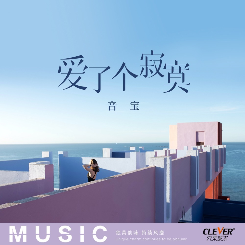 爱了个寂寞 (DJ版)