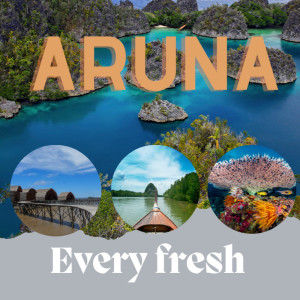 Album Every Fresh (Acoustic) from Aruna