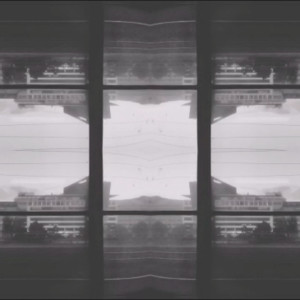 Album Bloom from 