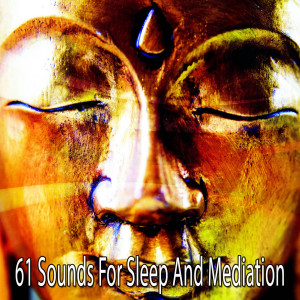 收聽Focus Study Music Academy的Mentally Healing歌詞歌曲