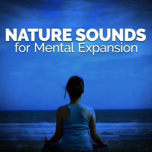 Sounds of Nature White Noise for Mindfulness的專輯Natural Sounds for Mental Expansion