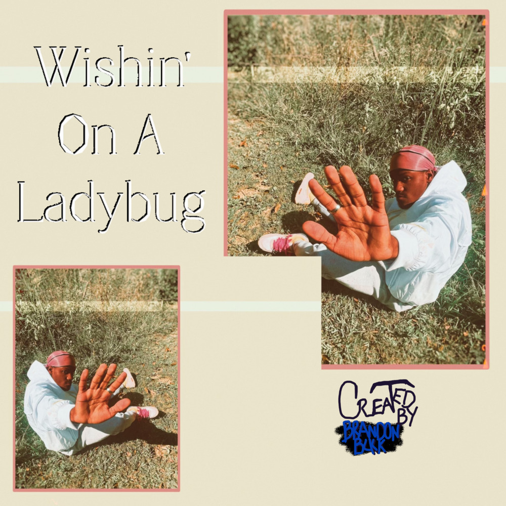 Wishin' On A Ladybug (Explicit)