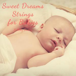 Lullaby Daddy的專輯Sweet Dreams Strings for Babies