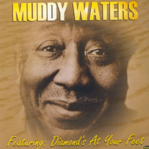 ดาวน์โหลดและฟังเพลง Champagne & Reefer พร้อมเนื้อเพลงจาก Muddy Waters