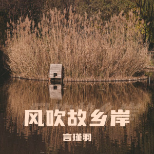 Album 风吹故乡岸 from 言瑾羽