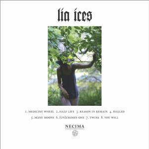收聽Lia Ices的Twins歌詞歌曲