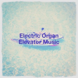 Album Electric Organ Elevator Music from 