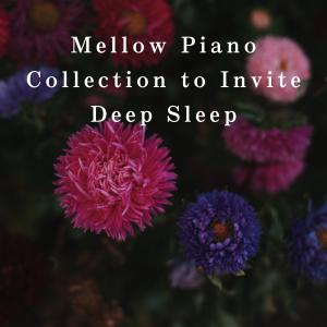 Album Mellow Piano Collection to Invite Deep Sleep oleh Relaxing BGM Project