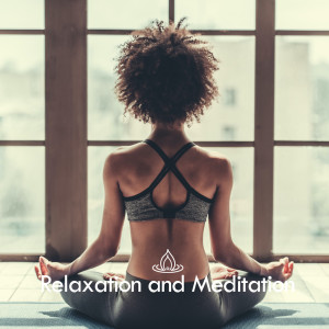 收听Yoga Ashtanga的Yoga and Meditation歌词歌曲